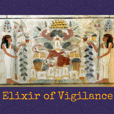 ELIXIR OF VIGILANCE~ Ancient Healing High Ritual Elixir~ 1 Medical Intuitive Session