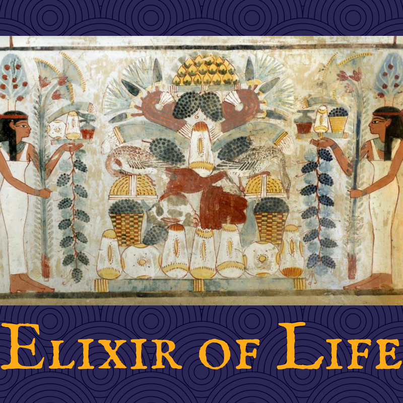 ELIXIR OF LIFE~ Ancient Healing High Ritual Elixir~ 1 Medical Intuitive Session